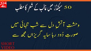 Mirza Ghalib Sher Meanings in 50 Seconds