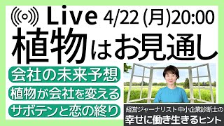 植物はお見通し！【幸せに働き生きるヒント165】