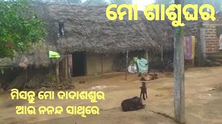 ଚାଲନ୍ତୁ ବୁଲିବା ମୋ ଶାଶୁଘର ନିଜ ଗାଆଁ ଓ ଘର,ମା ଲୋ ବାଡ଼ିରେ ଏତେ ପରିବା😍ଥଣ୍ଡା ଦିନକୁ perfect recipe ମଜା ଆସିଯିବ