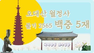 2021년 8월 8일 OWBN 오대산 월정사 사시불공 및 백중5재