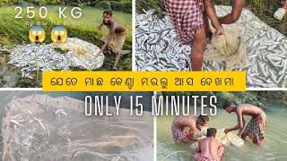 250 KG itna Sara machli 🥱😱 #viralvideo #youtube #fishingvideo #netfishing #shorts #ytstudia #bigfish