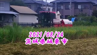 稲刈り   茨城県坂東市　2021/08/24