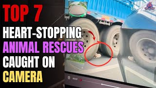 Unbelievable Animal Rescues That Will Restore Your Faith in Humanity #rescue #dogrescue #dogs