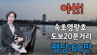 속초영랑호에서 도보20분거리의 낮은야산,임야매매,평당60만원,궁금하신분은 ☎010-8584-2222,02-304-8090으로 전화주세요.