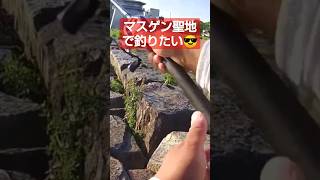 マスゲン聖地巡礼❗️まだまだ琵琶湖旅動画あります😎編集中です暫しお待ち下さい。