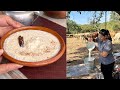 Arroz Con Leche Recién ordeñada - La Herencia de las Viudas