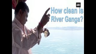 How clean is River Ganga? Here’s fact vs myth! - Uttar Pradesh News