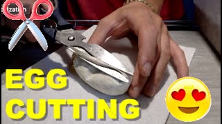 Ball Python Egg Cutting! Future Ultramel Clowns!