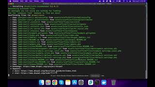 Drupal Installation with Composer & DDEV