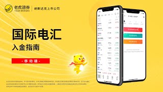 玩转APP - 入金指南－国际电汇 - 老虎证券