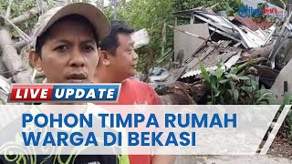 Akibat Hujan dan Angin Kencang di Bekasi, Pohon Angsana Berusia 10 Tahun Tumbang Menimpa Rumah Warga