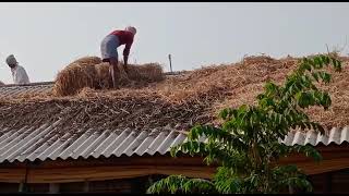 BROILER SUMMER MANAGEMENT | SUMMER MANAGEMENT OF POULTRY