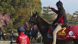 第80回桜花賞(GI)のみどころとポイント