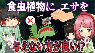 【ゆっくり解説】食虫植物にエサは与えない方が良い!? その理由を解説！【食虫植物TV】