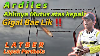 Merpati ini Tega Putusin Lawan Di atas awan‼️Latber Minggu Ceria Lapak Perthola Pedasong