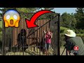 Caught In The Cage With A GORILLA!! | Just For Laughs Gags