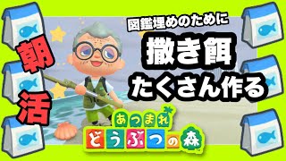 【あつ森】朝活！のんびり撒き餌を作る雑談配信～🐟✨#あつまれどうぶつの森 #あつ森