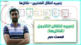 زنجیره انتقال الکترون در بیوشیمی / شاتل ها / قسمت دوم