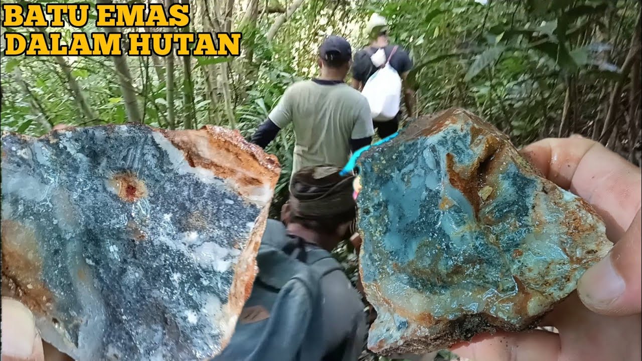 Jenis Batu Dalam Hutan Yang Mengandung Emas, Lokasi Baru Tambang Emas ...