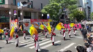 精華女子高等学校吹奏楽部　どんたくひろばパレード　祝う隊　2022.5.3