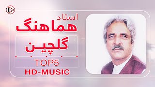 آهنگ های ناب افغانی - استاد هماهنگ - Ustad Hamahang Best afghan song 2023