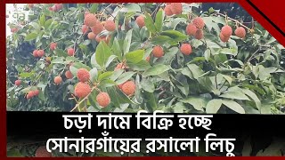 বাজারে এসেছে সোনারগাঁয়ের রসালো লিচু | News | Ekattor TV