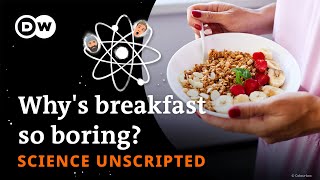 No breakfast ideas? Same stuff every day? What's the science behind that? - Science unscripted