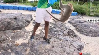 iShowSpeeed GETS ATTACKED AND ROBBED BY MONKEYS 😂