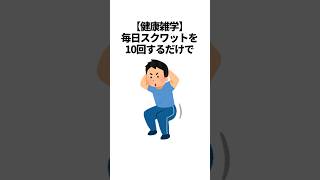 【健康雑学】毎日スクワットを10回するだけで#shorts #スクワット #太もも #ダイエット #体幹 #運動