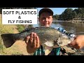 FISHING Soft Plastics & Fly Fishing For GOLDEN PERCH