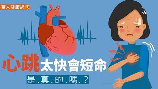 【華人健康網】健康小學堂 - 心跳太快會短命，是真的嗎？