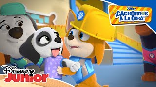 ¡CACHORROS A LA OBRA!: La montaña rusa | Disney Junior Oficial