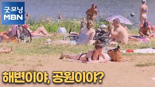 [굿모닝월드] 해변이야, 공원이야? [굿모닝MBN]