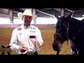 Team Roping Heading Tips | How to Keep Your Horse Listening to You with Tyler Wade