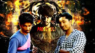 Padde Huli | #Chandan Shetty Stunning Brothers | Title Track Video Song | Kannada Movies