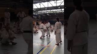 Malcolm Dorfman Shihan 9th Dan KWF - Meaning of the Kata Jion Moves