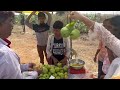 సేంద్రియ పద్ధతిలో జామ పంట సాగు guava farming raj farming