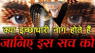 क्या इच्छाधारी नाग होते हैं, जानिए इस सच को... What is Ichchadhari Nagin