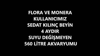 BIOLIFE FLORA VE MONERA KULLANICIMIZ SEDAT KILINÇ BEYİN 4 AYDIR SUYU DEĞİŞMEYEN 560 LİTRE AKVARYUMU