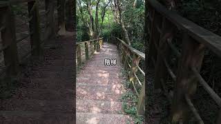 羊稠森林步道 桃園蘆竹 眺望高鐵穿山洞 運動踏青賞景皆宜