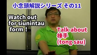 小念頭解説シリーズその11 棟手(tong sau)について Watch out for Siunintau form！Tale about tong sau