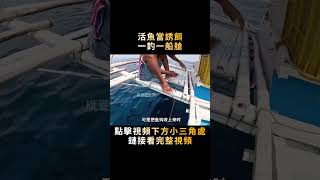 用活魚當誘餌，值錢貨不要錢似的往上沖，最大的一條有十幾斤！#shorts