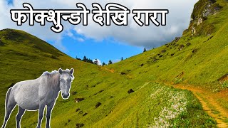 फोक्शुन्डो बाट रारा सम्म । Trekking from Phoksundo to Rara | Dolpa - Jumla - Mugu Vlog | Nepal Trip