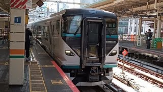 〈ダイヤ改正では11号に変更〉E257系2000番台NA-03編成 特急踊り子15号に伴う送り込み回送東京駅9番線到着シーン 2024,3/15 ダイヤ改正前