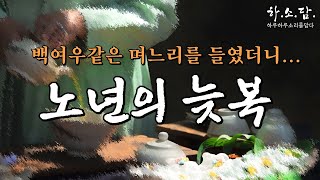 백여우같은 며느리때문에! 노년에 늦복이 찾아왔다는데... #하소담오디오드라마