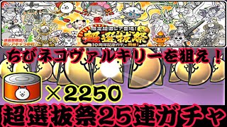 超選抜祭25連でちびネコヴァルキリーを狙え！【にゃんこ大戦争】