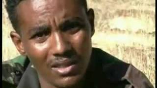 EPPF - Breaking by Eritrean Regime to proxy tribal  movements  (2005)   Prof. Muse Tegegne