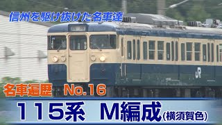 信州を駆け抜けた名車達　No.16　115系 M編成（横須賀色）