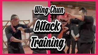 Wing Chun attack training #shorts #Wushu #KungFu