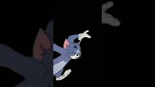 Tom \u0026 Jerry Cartoon video Black Screen  tom and jerry,funny cat video,tom u0026 jerry,cartoon for